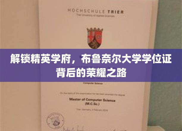 解锁精英学府，布鲁奈尔大学学位证背后的荣耀之路