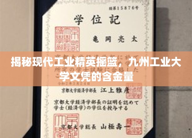 九州工业大学，工业精英的孵化器，揭秘文凭背后的价值与魅力