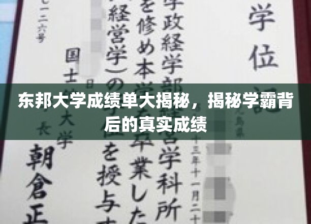 东邦学霸秘籍，揭开隐藏成绩单背后的惊人真相