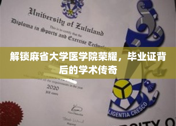 解锁麻省大学医学院荣耀，探寻毕业证背后的学术传奇