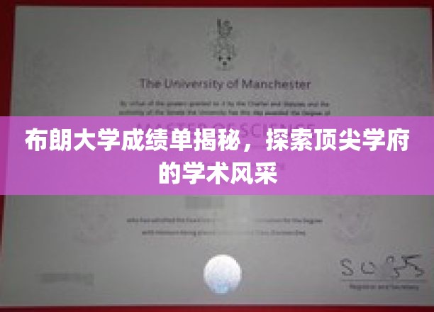 布朗大学成绩单背后的学术魅力探秘