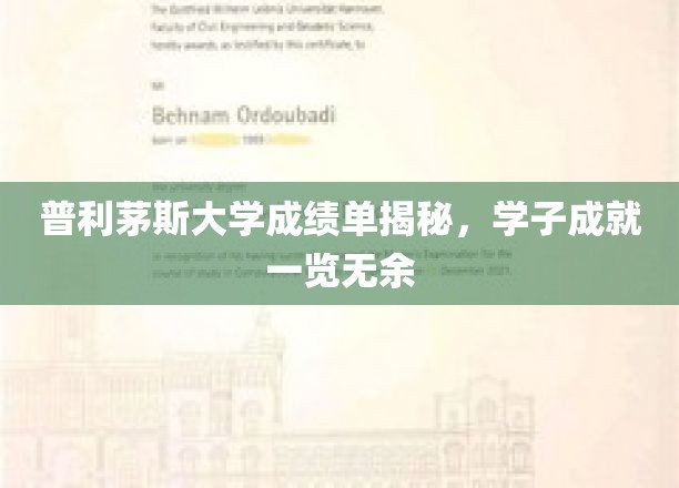 普利茅斯大学成绩单揭秘，学子成就一览无余