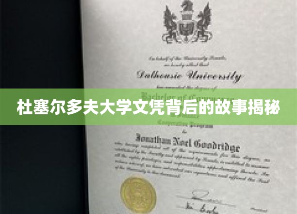 德国杜塞尔多夫大学文凭背后的不为人知传奇