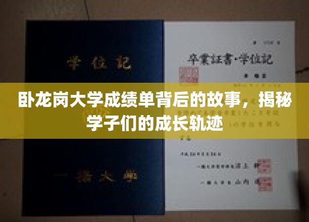 卧龙岗大学成绩单背后的传奇，学子们成长足迹揭秘