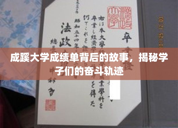 成蹊大学成绩单背后的故事，揭秘学子们的奋斗轨迹