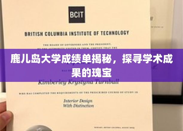 鹿岛之光，一窥鹿儿岛大学学术成就的秘密花园