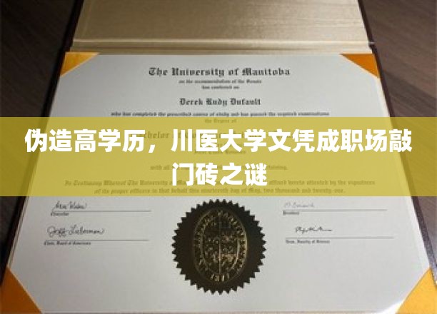伪造高学历，川医大学文凭成职场敲门砖之谜