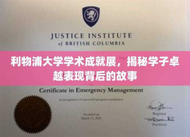 利物浦学子风采绽放，探索卓越背后的学术奇缘