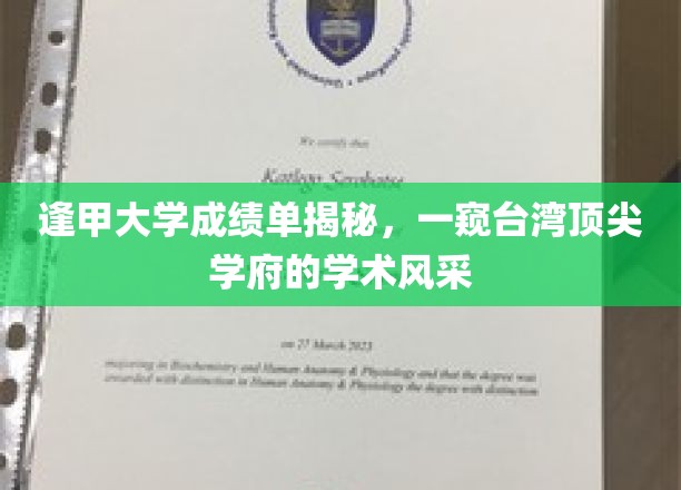 逢甲大学成绩单揭秘,一窥台湾顶尖学府的学术风采