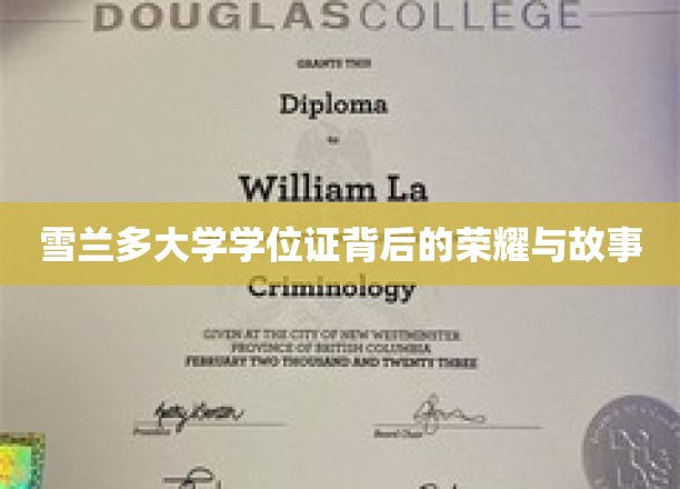 雪兰多学位证，探寻荣耀背后的传奇故事