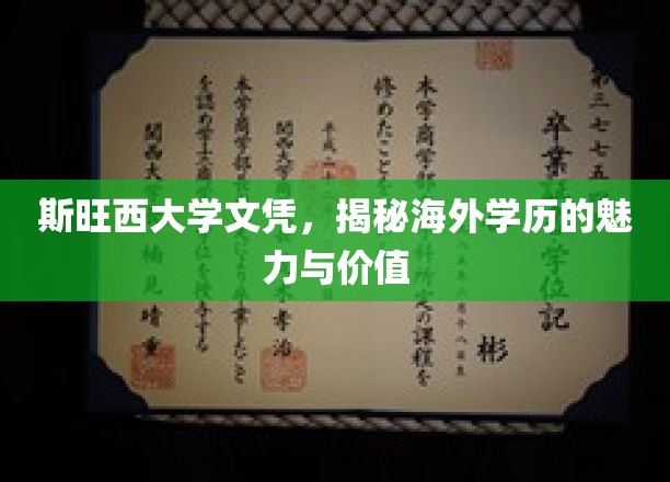海外学历的璀璨光芒，斯旺西大学文凭背后的价值与魅力