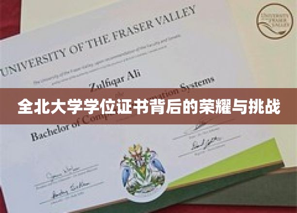 全北大学学位证书，探寻荣耀背后的成长历程