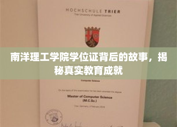 南洋理工学院学位证，探寻背后的辉煌教育历程