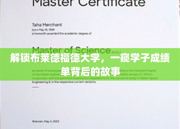 揭开布莱德福德学子成绩单背后的精彩篇章