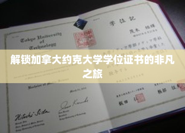 探索约克大学学位背后的精彩奥秘之旅