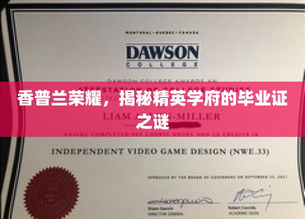 香普兰荣耀揭秘，精英学府毕业证背后的神秘面纱