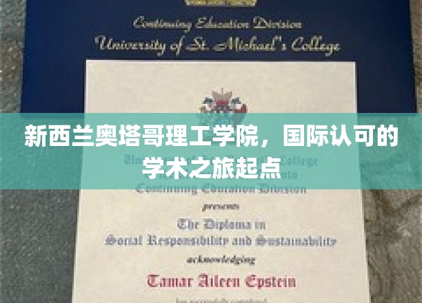 探索全球视野，奥塔哥理工学院，开启国际学术新篇章