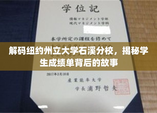 解码纽约州立大学石溪分校，揭秘学生成绩单背后的故事