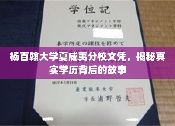 杨百翰夏威夷分校文凭探秘，揭开学历背后的真实轨迹