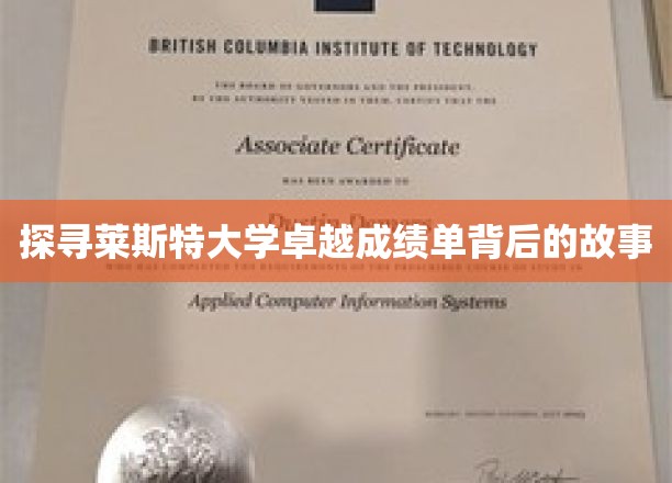 揭开莱斯特大学辉煌成就背后的神秘面纱