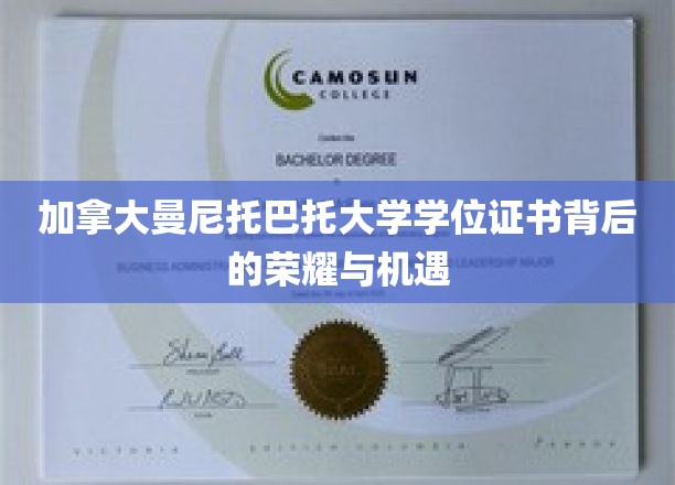 探索曼尼托巴托大学学位证书背后的璀璨未来