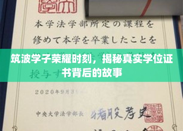 筑波英才展翅，揭秘学位证书背后的辉煌历程