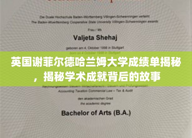 探索谢菲尔德哈兰姆大学成绩单背后的辉煌篇章