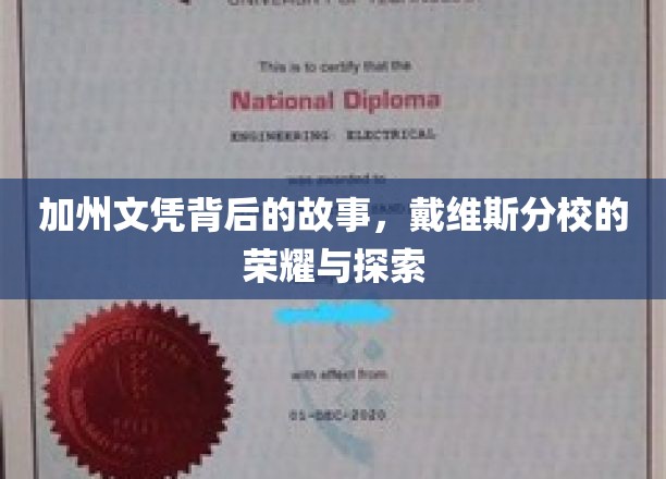 加州戴维斯分校，文凭背后，探索荣耀与传奇