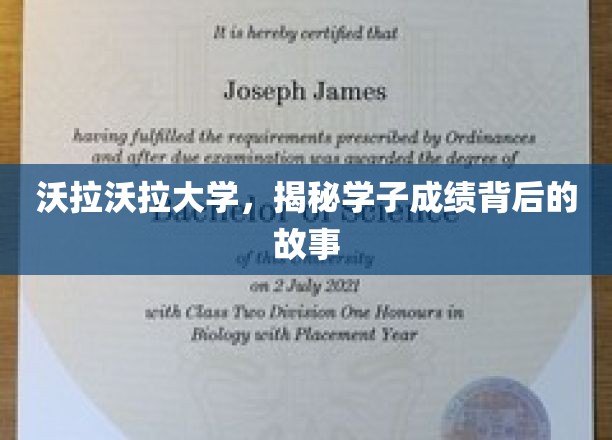 沃拉沃拉大学学子辉煌成绩背后的真实面貌