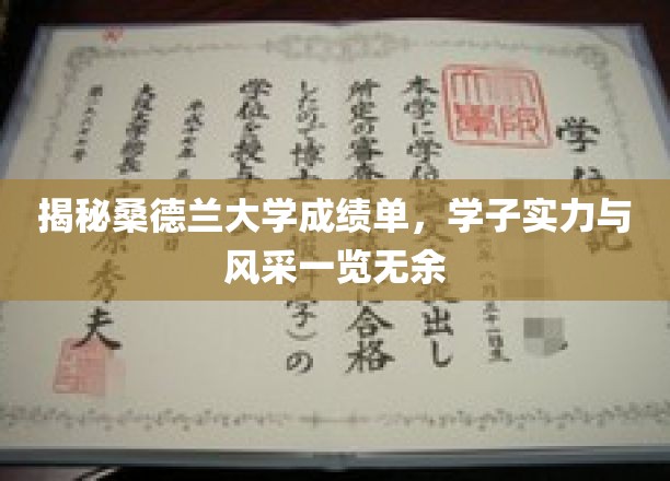 揭秘桑德兰大学成绩单，学子实力与风采一览无余