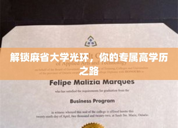 迈向麻省大学巅峰，定制你的精英教育之旅