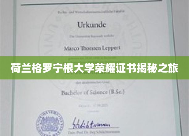 探寻荷兰格罗宁根大学荣耀证书背后的传奇故事