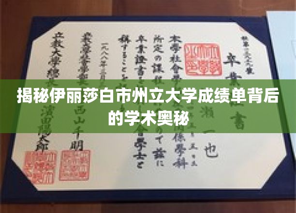 解码伊丽莎白市州立大学成绩单，一窥学术卓越的神秘面纱