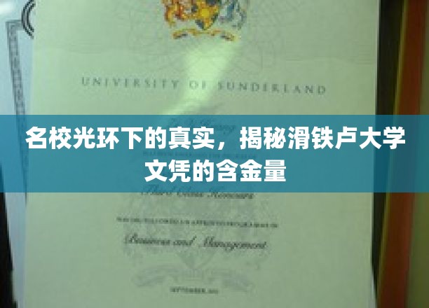揭开滑铁卢大学文凭的神秘面纱，名校背后的真实价值与潜力