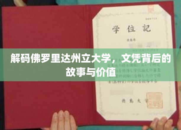 解码佛罗里达州立大学，文凭背后的故事与价值