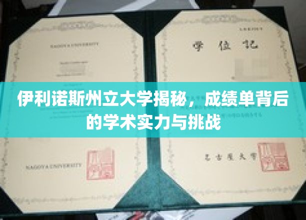 伊利诺伊州立大学揭秘：成绩单背后的学术实力与挑战