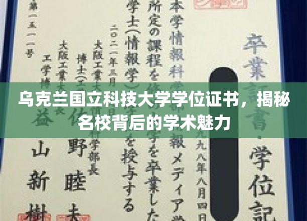 解码乌克兰国立科技大学，探索学术殿堂的璀璨之光