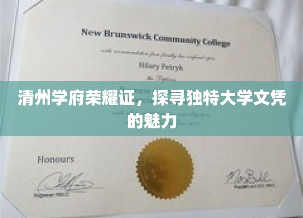 清州学府独韵证书，揭秘文凭背后的非凡魅力