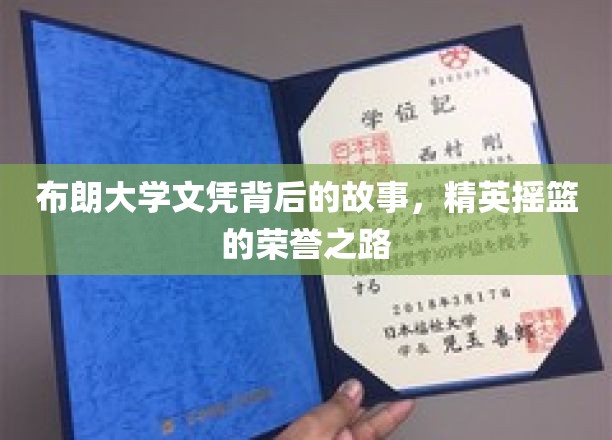 布朗大学荣耀背后，揭秘精英摇篮的蜕变历程