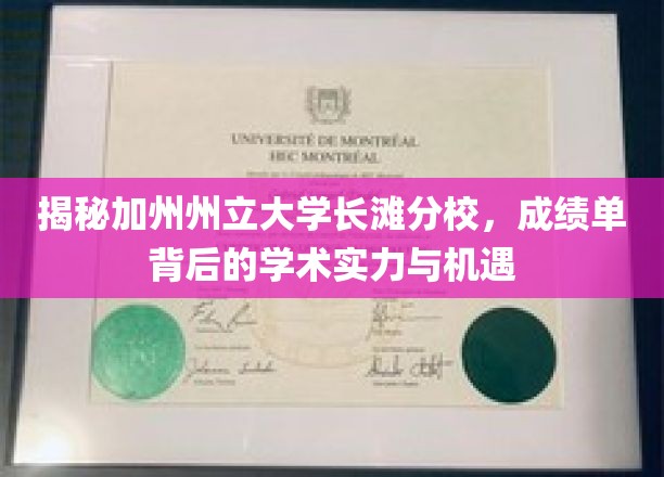 解码加州长滩分校，揭秘学术殿堂的卓越成就与无限可能