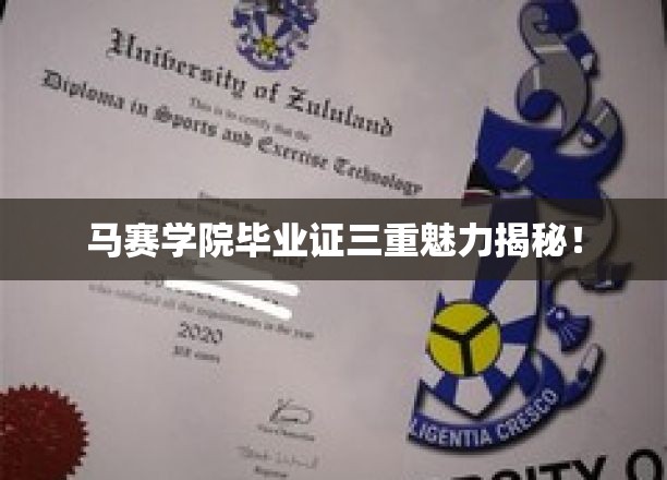 马赛学院毕业证三重魅力大揭秘！