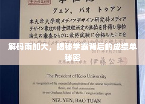 南加大学霸养成记，揭秘精英背后的学术密码