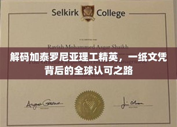 加泰罗尼亚理工骄子名片，揭秘国际认可的学术通行证