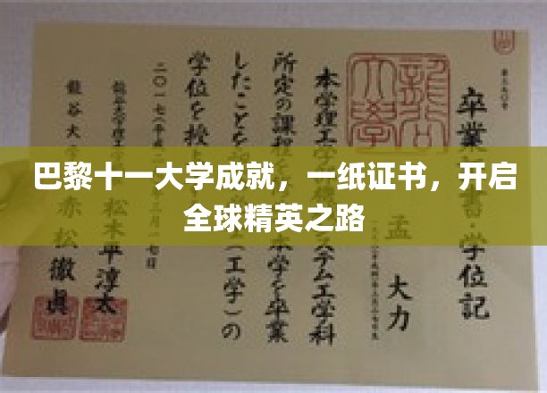 巴黎十一大学荣耀见证，证书在手，世界精英之路尽在脚下