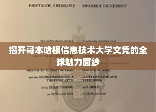 解码哥本哈根信息技术大学，全球认可的学历魅力之旅