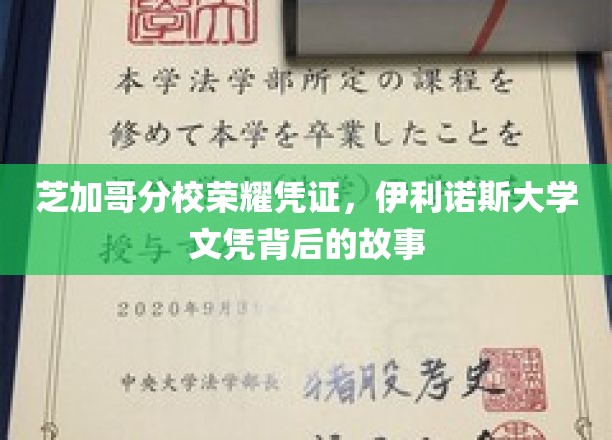 伊利诺斯荣耀见证，揭秘芝加哥分校文凭背后的非凡旅程
