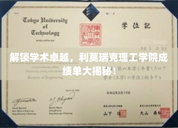 解锁学术卓越，利莫瑞克理工学院成绩单大揭秘！