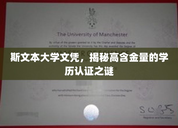 揭开斯文本大学文凭的黄金秘密，揭秘高含金量学历认证的神秘面纱