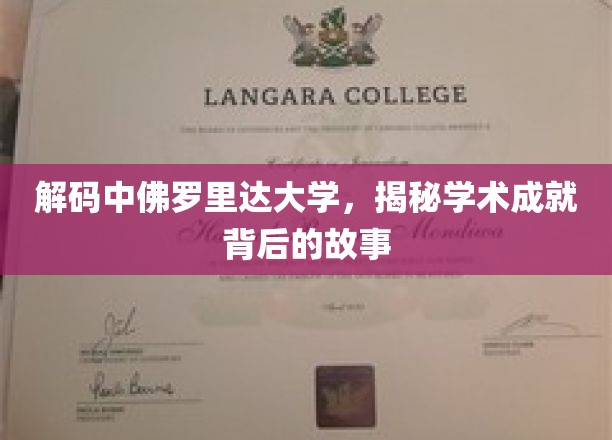 探寻中佛罗里达大学卓越成就的幕后传奇