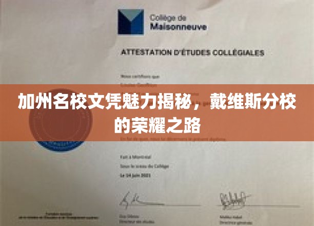 加州名校文凭魅力揭秘，戴维斯分校的荣耀之路